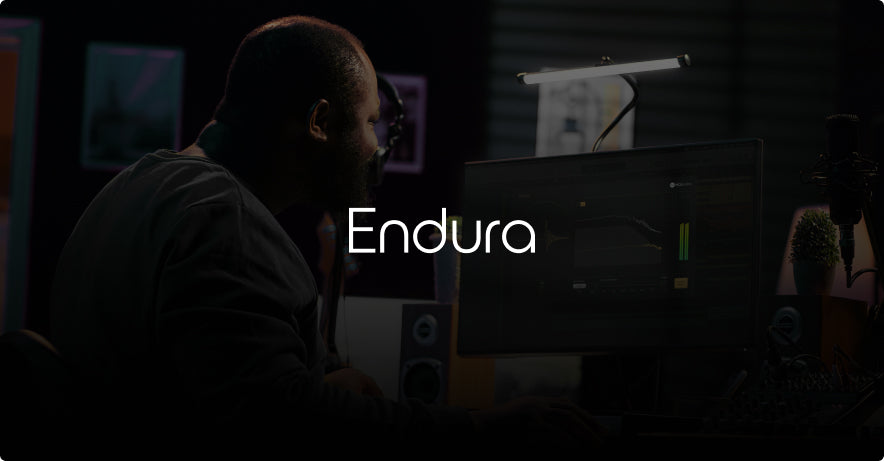 LENBROOK MEDIA GROUP : PLUGINS Endura