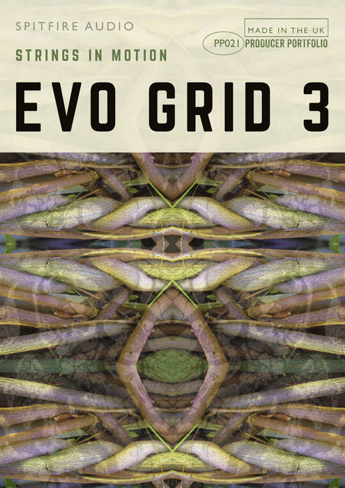 Spitfire Audio Evo Grid 3