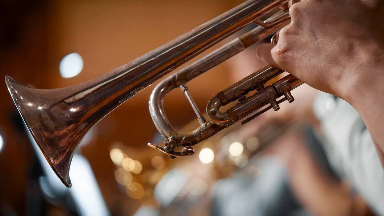 Vienna Symphonic Library Synchron Brass (Standard Library)