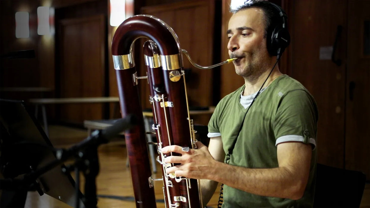 Vienna Symphonic Library Synchron Woodwinds  (Standard Library)