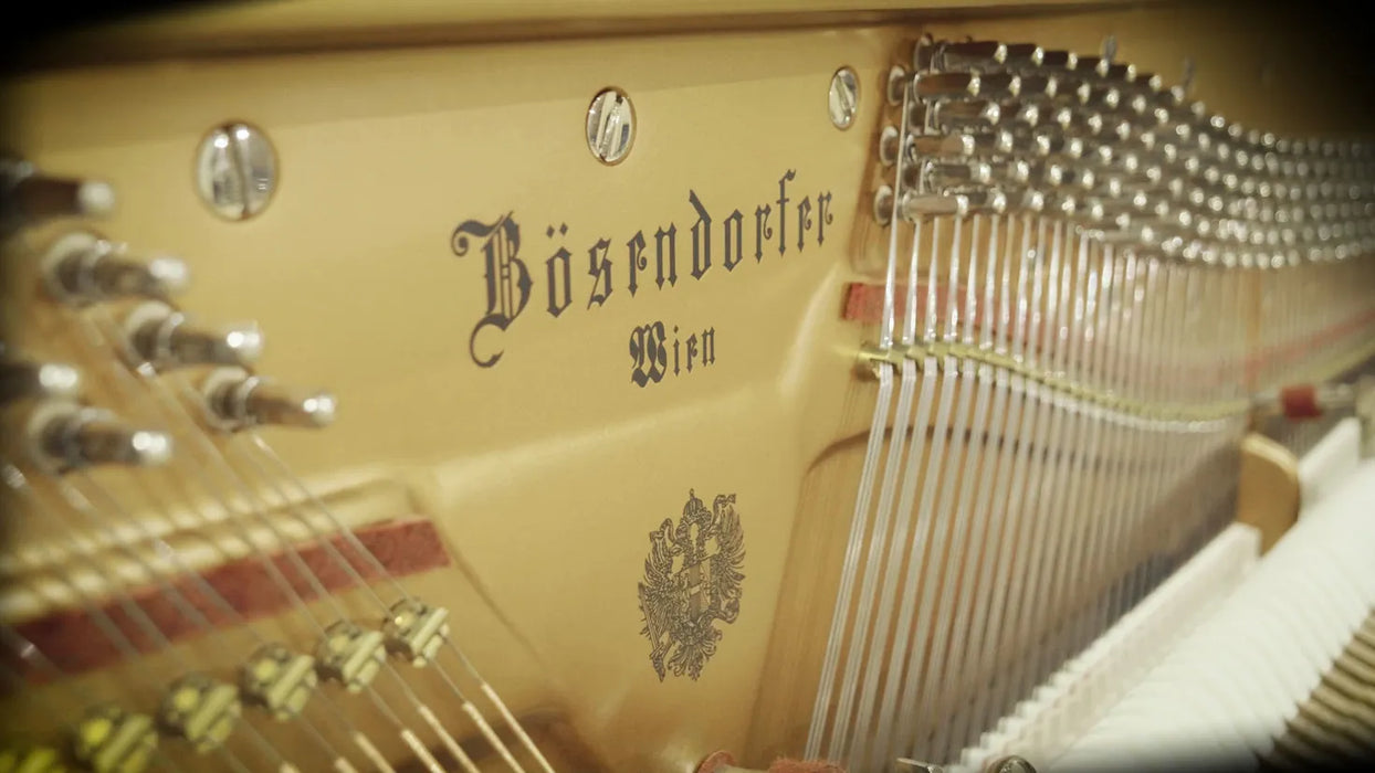 Vienna Symphonic Library Studio Bösendorfer Upright (Standard Library)