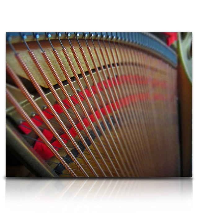 Soundiron Tone Morsels