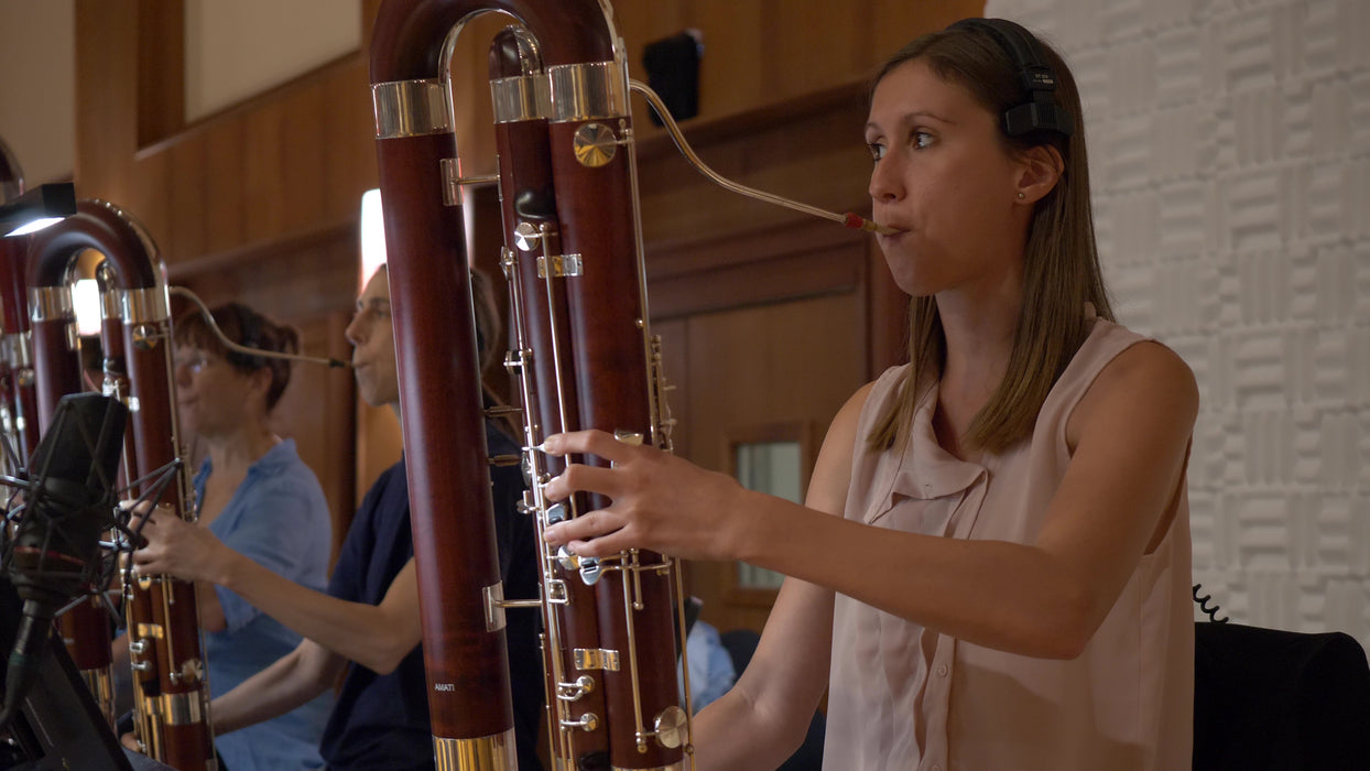 Vienna Symphonic Library Big Bang Orchestra Woodwinds