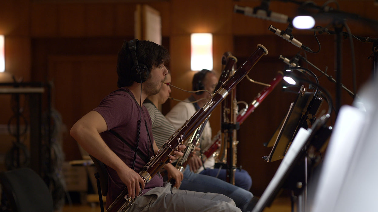 Vienna Symphonic Library Big Bang Orchestra Woodwinds
