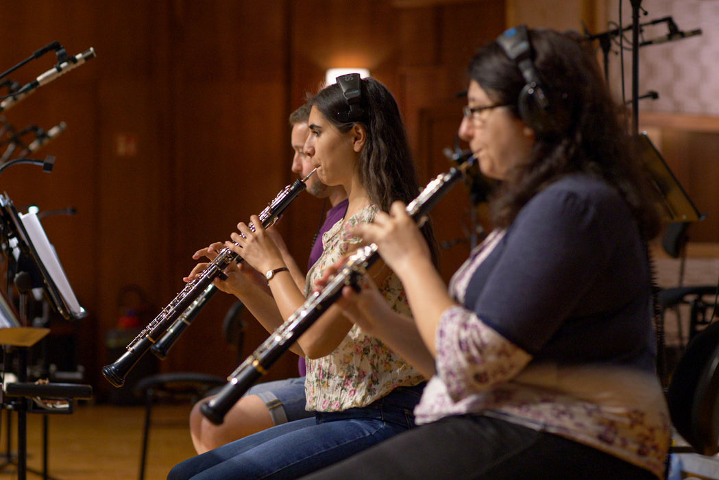 Vienna Symphonic Library Big Bang Orchestra Woodwinds
