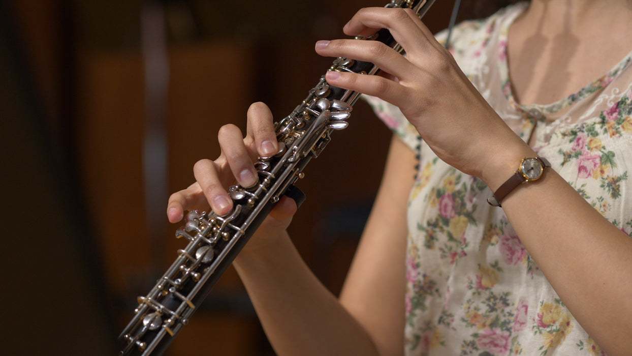 Vienna Symphonic Library Big Bang Orchestra Woodwinds